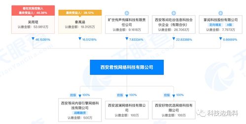 掌阅投资西安君悦网络公司,持股6.6666